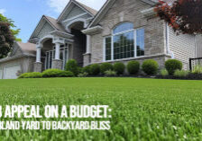 HOME-Curb Appeal on a Budget_ From Bland Yard to Backyard Bliss